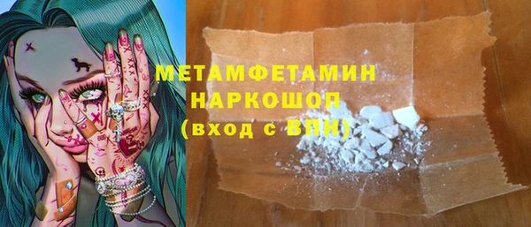 прущие грибы Краснотурьинск