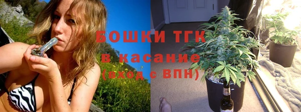 прущие грибы Краснотурьинск