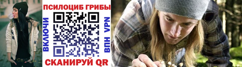 Псилоцибиновые грибы прущие грибы  Судогда 
